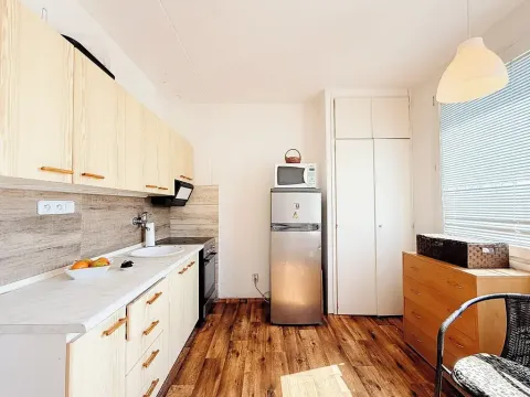 Prodej bytu 1+1, Vysoké Mýto, Pivovarská, 35 m2
