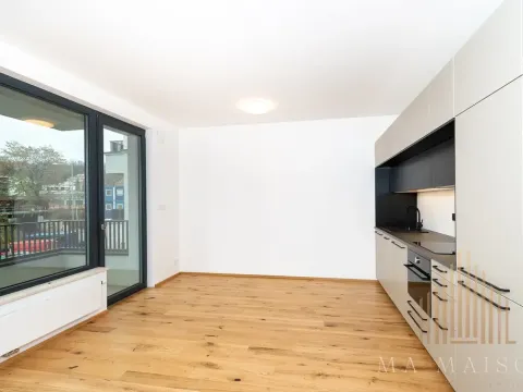 Pronájem bytu 2+kk, Praha - Nusle, Závišova, 42 m2