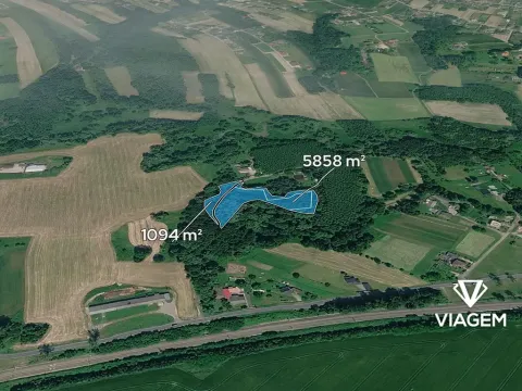 Prodej podílu lesa, Petrovice u Karviné, 2317 m2