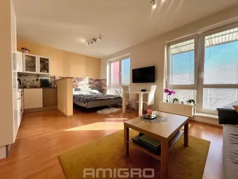Prodej bytu 1+kk, Brno, Blažovická, 38 m2
