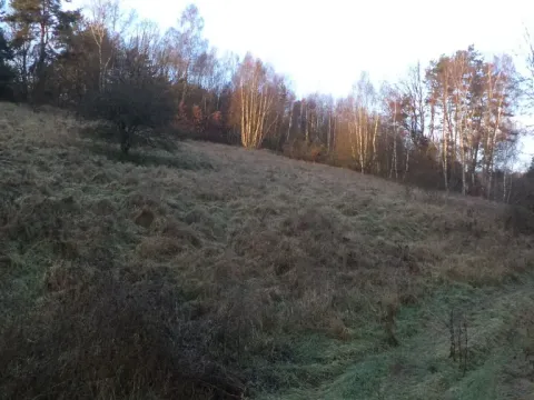 Prodej pole, Blíževedly, 2887 m2