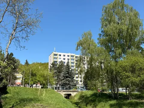 Pronájem bytu 3+1, Litvínov, Mládežnická, 82 m2