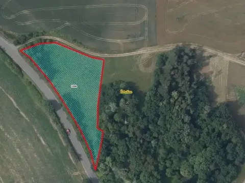 Prodej louky, Žehušice, 3914 m2