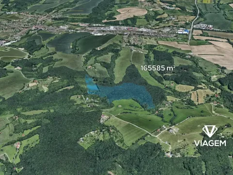 Prodej podílu lesa, Lípa, 2748 m2