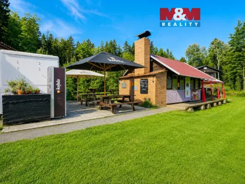 Prodej komerčního pozemku, Krucemburk - Staré Ransko, 21872 m2