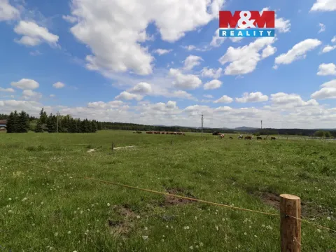 Prodej pozemku pro bydlení, Kolová, 1100 m2