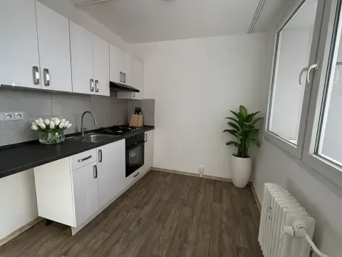 Pronájem bytu 2+1, Most, Václava Talicha, 55 m2