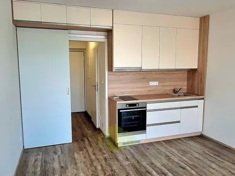 Pronájem bytu 1+kk, Olomouc, Wolkerova, 34 m2