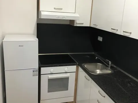 Pronájem bytu 1+1, Brno, Bratislavská, 30 m2
