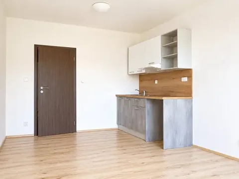 Pronájem bytu 1+kk, Syrovice, 27 m2