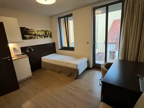 Pronájem bytu 1+kk, Brno, Francouzská, 18 m2