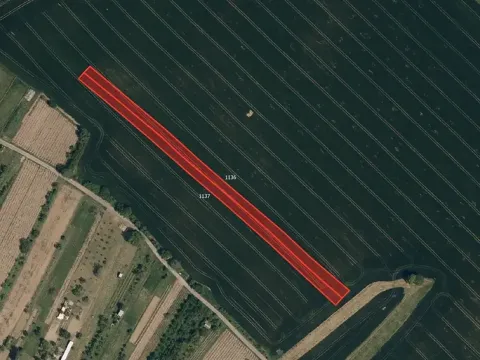 Prodej pole, Boršice, 2636 m2