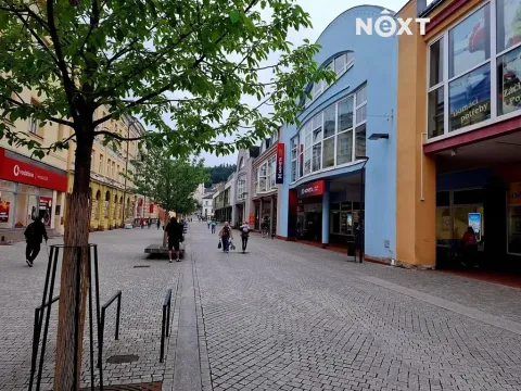 Pronájem obchodního prostoru, Trutnov, Horská, 560 m2
