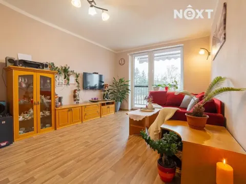 Prodej bytu 3+1, Třeboň, Boženy Němcové, 76 m2