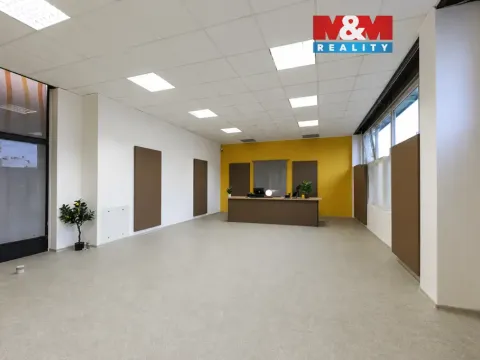 Pronájem obchodního prostoru, Plzeň - Jižní Předměstí, Husova, 93 m2