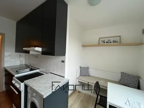 Pronájem bytu 1+1, Ostrava, Šeříková, 42 m2