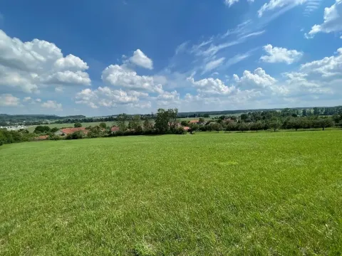 Prodej louky, Luže, 11020 m2