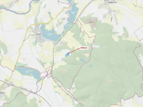 Dražba lesa, Putim, 15718 m2