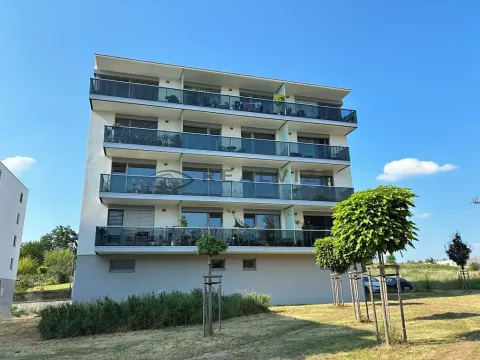 Pronájem bytu 2+kk, České Budějovice, Františka Jelena, 58 m2