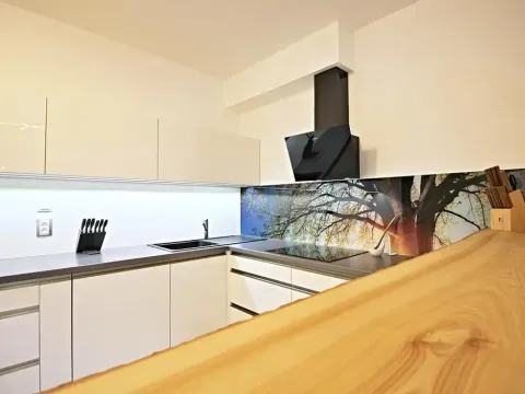 Pronájem bytu 2+kk, Moravany, Višňová, 67 m2