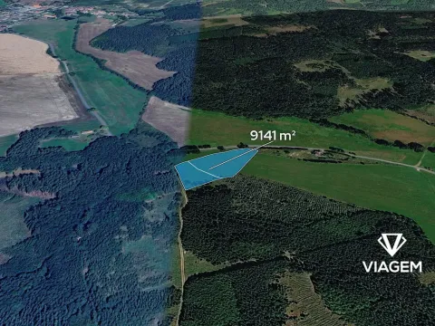 Prodej pole, Přívětice, 9141 m2