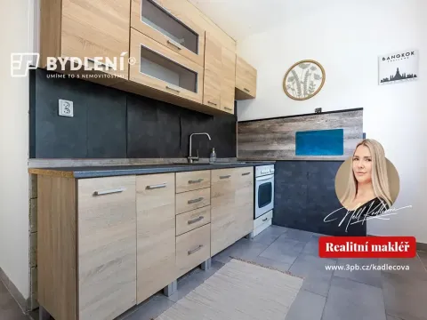 Prodej bytu 2+1, Litvínov, Podkrušnohorská, 56 m2