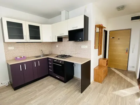 Pronájem bytu 1+1, Kroměříž, Rumunská, 32 m2