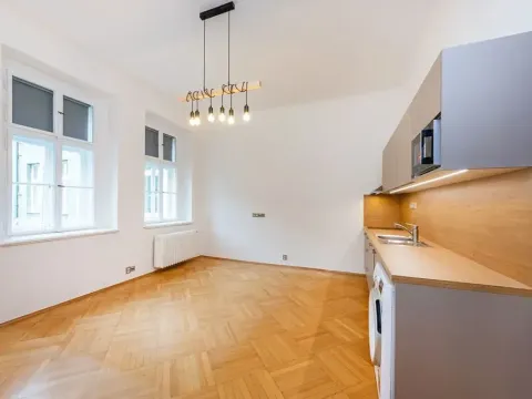 Pronájem bytu 1+kk, Praha - Karlín, Vítkova, 29 m2