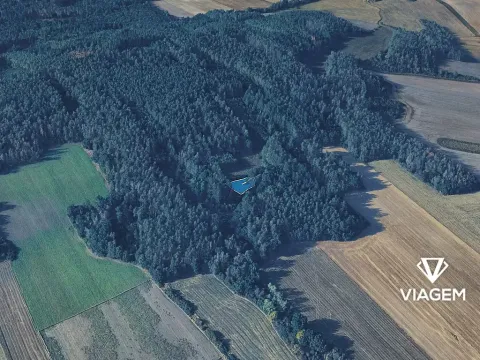 Prodej pole, Švihov, 912 m2