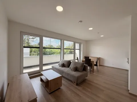 Pronájem bytu 1+kk, Mladá Boleslav - Čejetice, Vodárenská, 38 m2