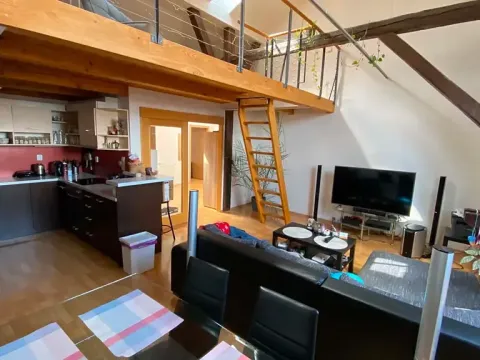 Pronájem bytu 3+kk, Brno, Jana Uhra, 136 m2