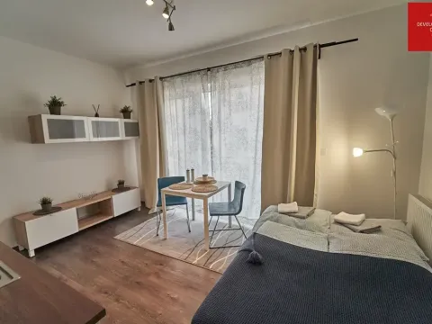 Pronájem bytu 1+kk, Mariánské Lázně, Dvořákova, 25 m2