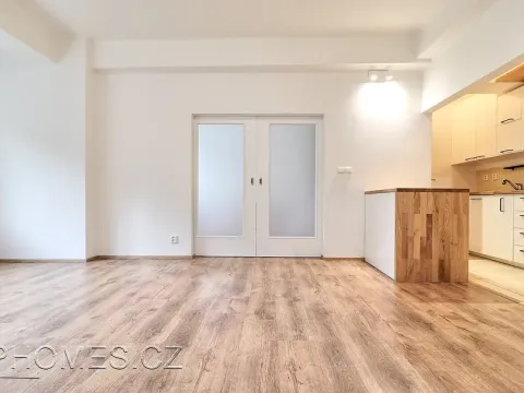Pronájem bytu 2+kk, Praha - Žižkov, Biskupcova, 46 m2