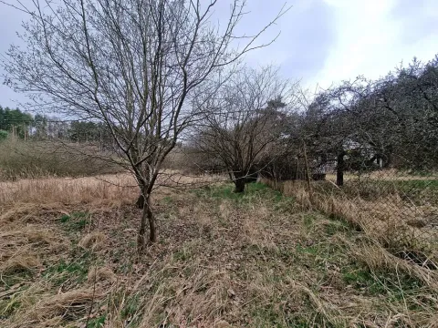 Prodej podílu pozemku pro bydlení, Bělčice, 34980 m2