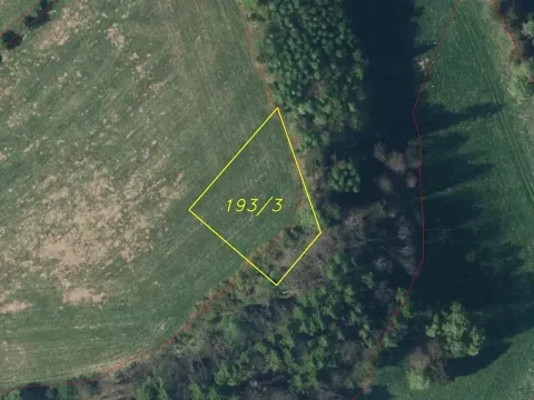 Dražba louky, Teplice nad Metují, 200 m2