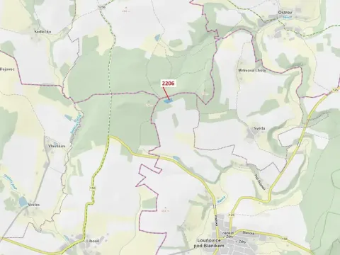 Dražba lesa, Louňovice pod Blaníkem, 4560 m2