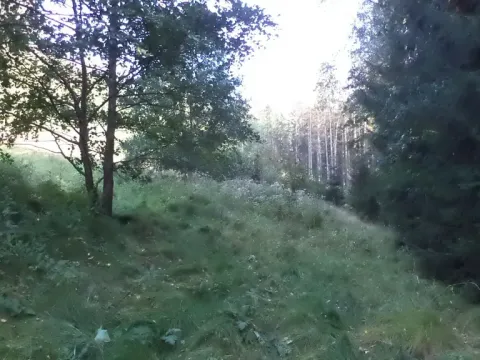 Prodej pole, Roztoky u Semil, 496 m2