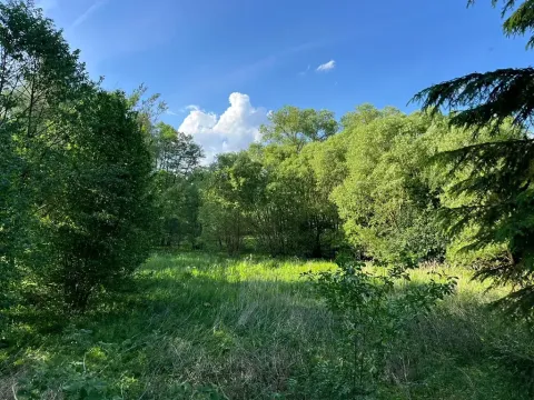 Prodej louky, Oselce, 9182 m2