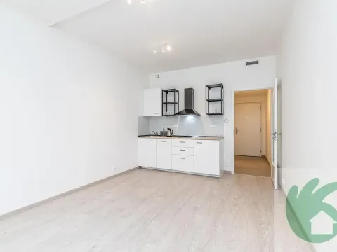 Pronájem bytu 1+kk, Praha - Strašnice, Počernická, 26 m2