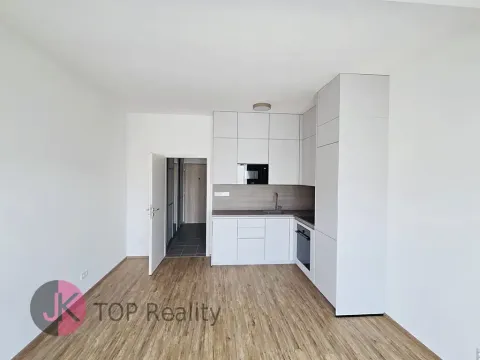 Pronájem bytu 1+kk, Plzeň, Železná, 32 m2