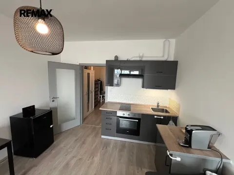Pronájem bytu 1+kk, Chýně, Premonstrátů, 36 m2