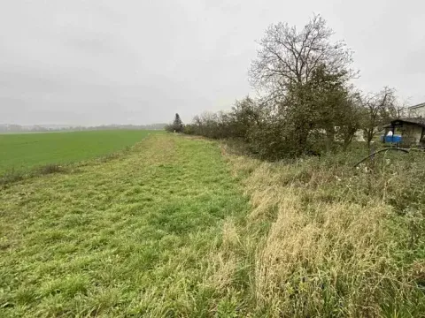 Dražba pozemku, Opolany, 1293 m2