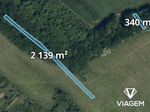 Prodej podílu lesa, Popovice, 882 m2