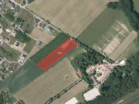 Prodej pole, Trnová, 8680 m2