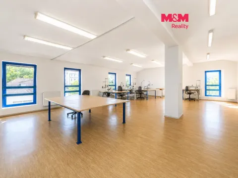 Prodej obchodního prostoru, Letohrad, Petříkov, 1200 m2