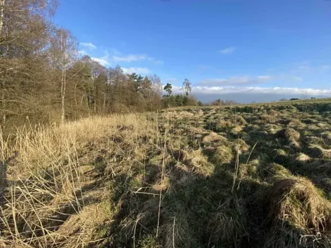Dražba louky, Okna, 448 m2