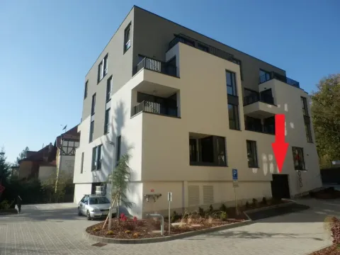 Pronájem ostatní, Liberec - Liberec I-Staré Město, Riegrova