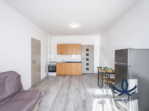 Pronájem bytu 1+1, Milovice, Slepá, 32 m2