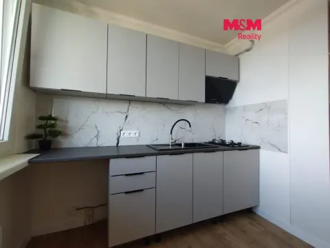Prodej bytu 1+1, Bílina - Pražské Předměstí, Fügnerova, 34 m2