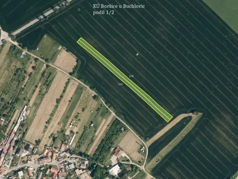 Prodej pole, Boršice, 2636 m2